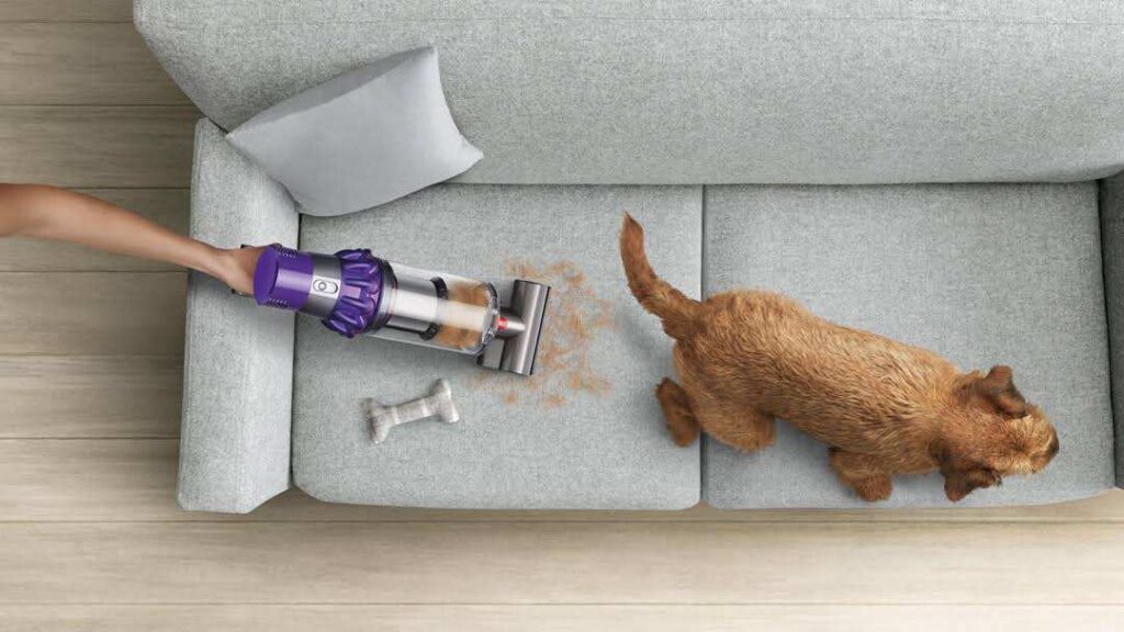 dyson-for-your-pet